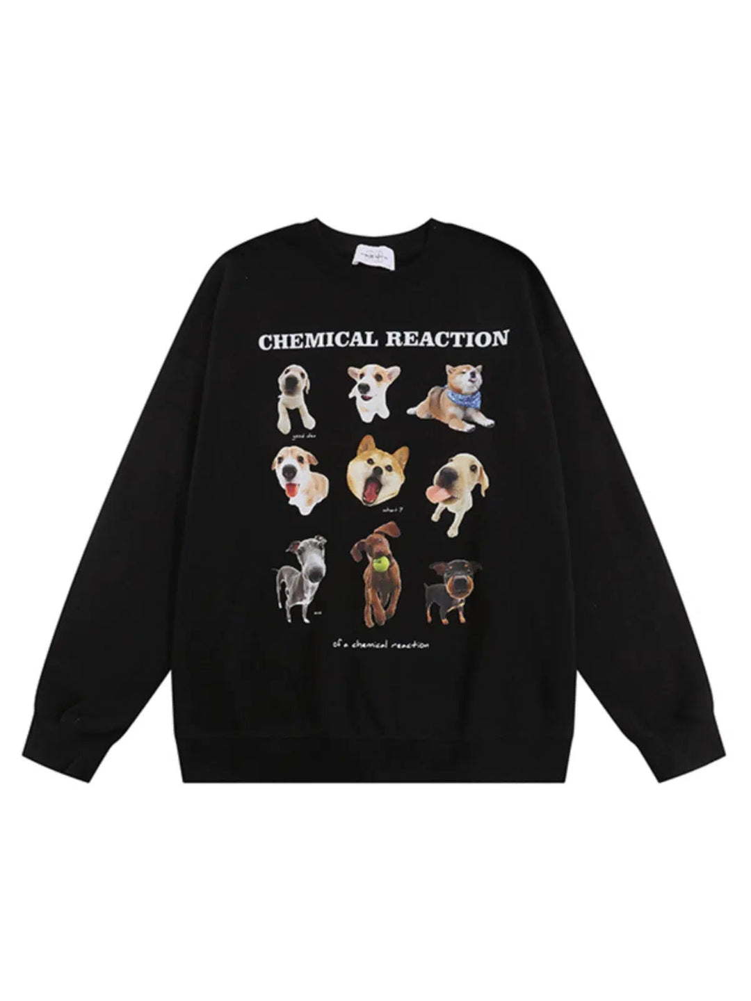 Dog Graphic Oversized Sweatshirt