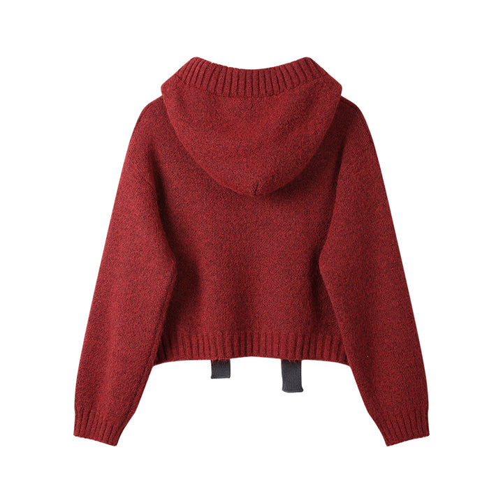 Hooded Pullover Casual Knit Sweater